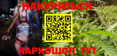 тгк Краснодар