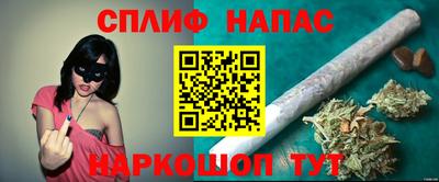 тгк Краснодар