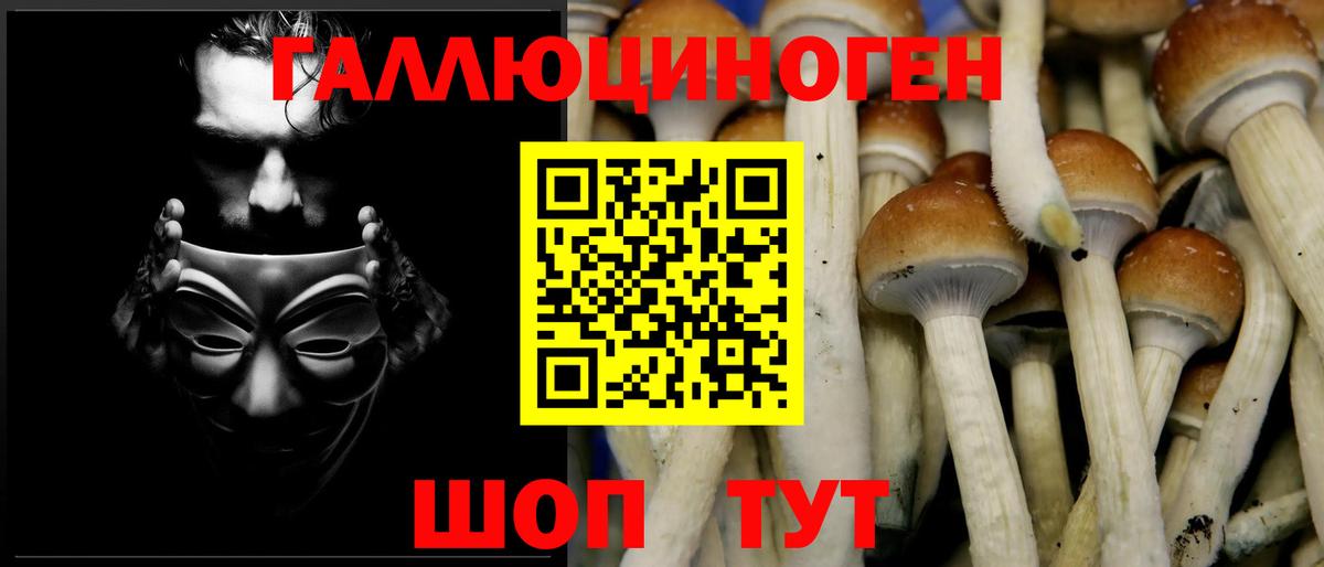 Псилоцибиновые грибы Magic Shrooms  Псилоцибиновые грибы мухоморы  Чернушка  Вход с VPN 