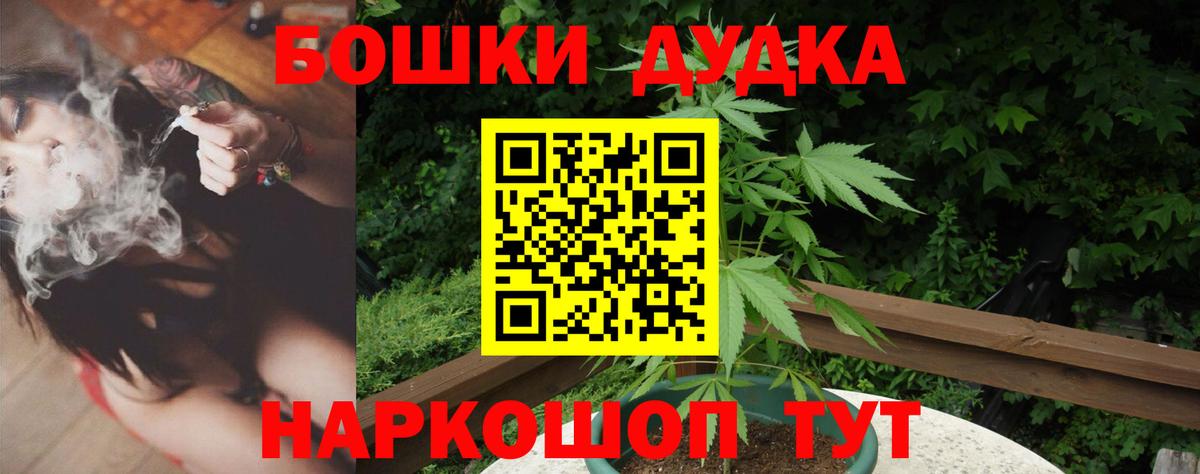 Чернушка  Марихуана конопля  МАРИХУАНА планчик  Вход с VPN 